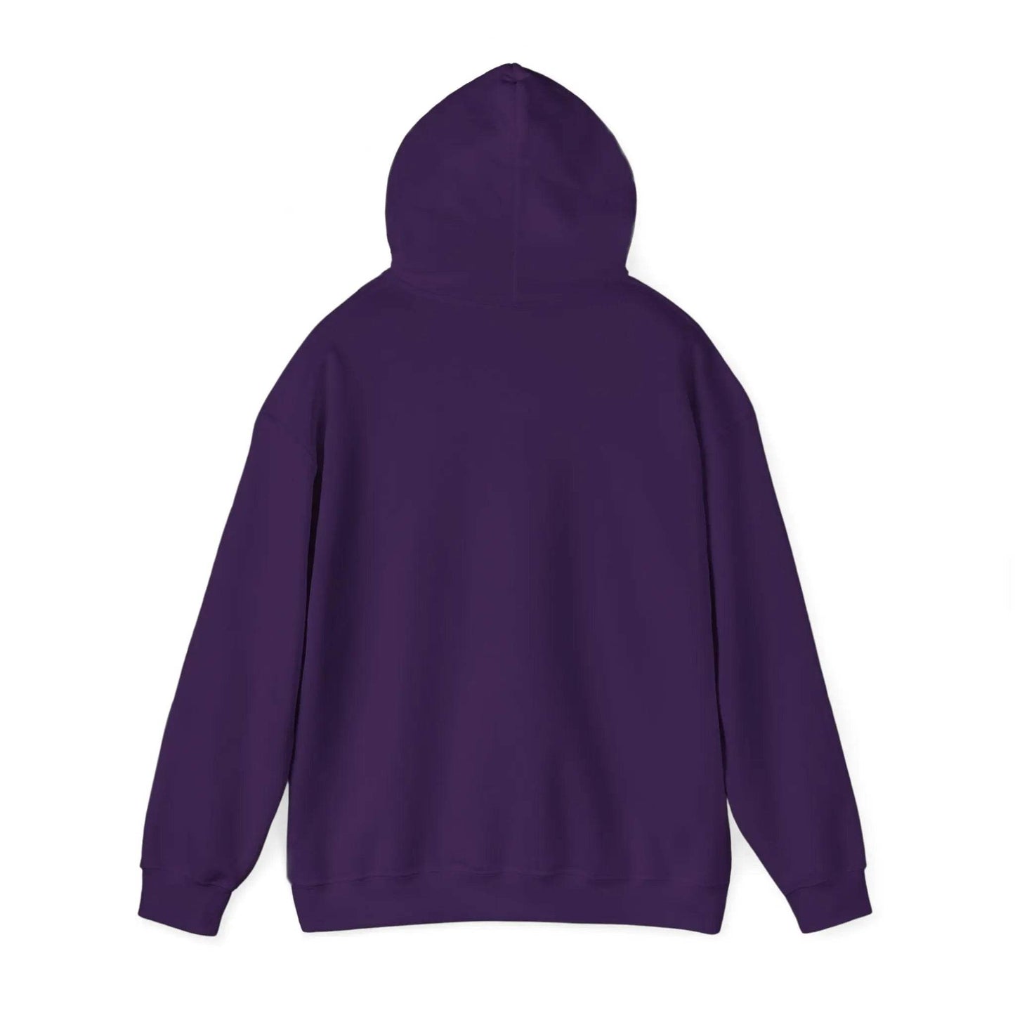 Bad Witches Only Hooded Sweatshirt - Nick DiRamio