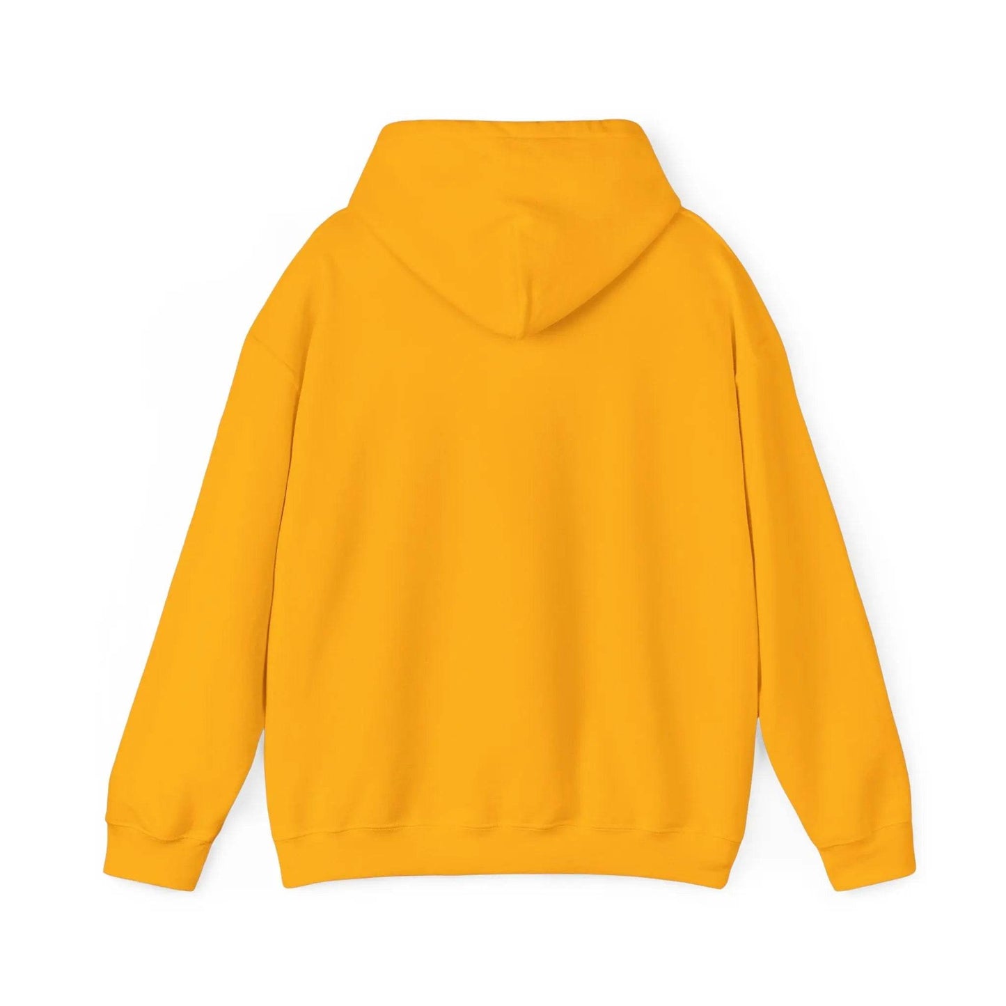 Bad Witches Only Hooded Sweatshirt - Nick DiRamio