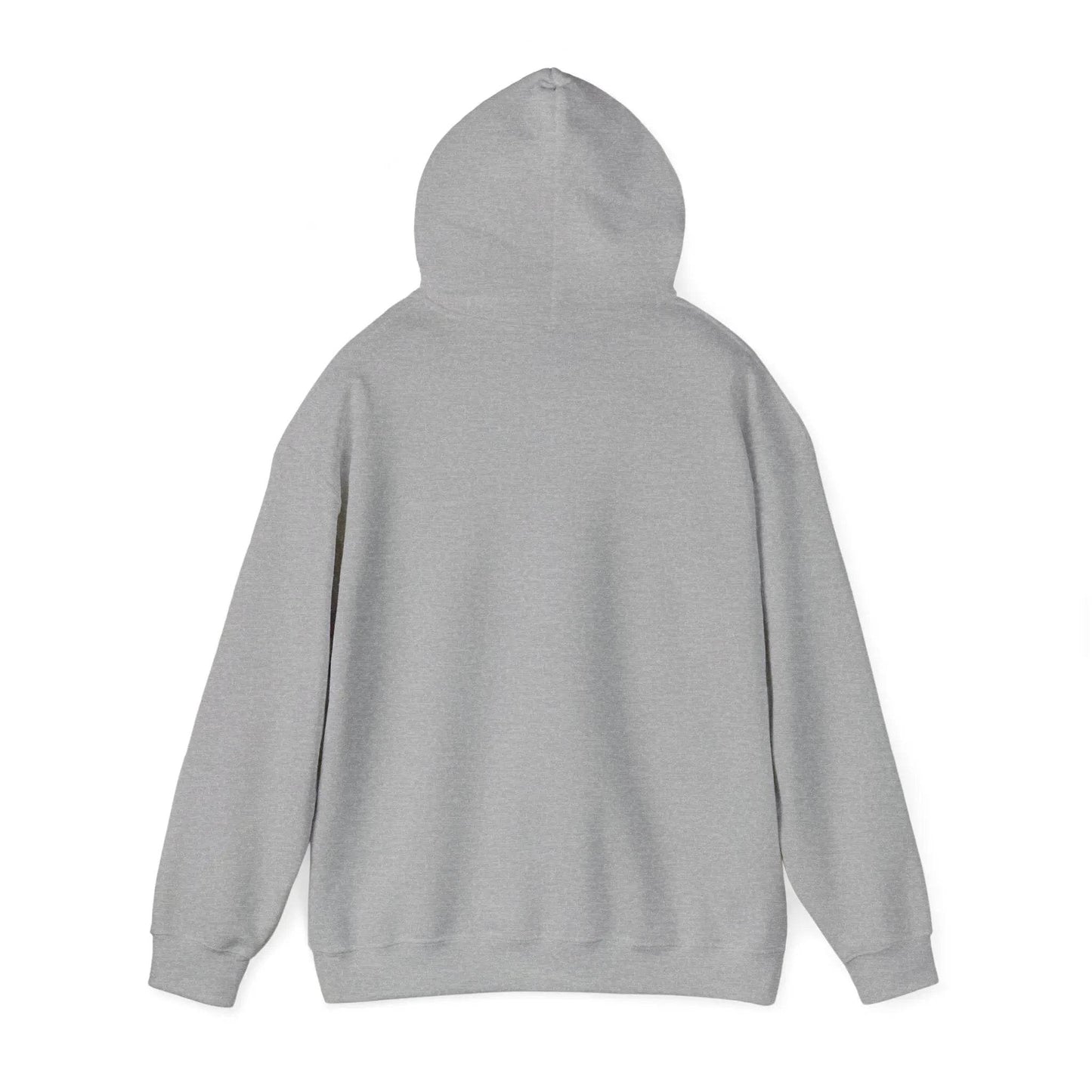 Television Viewer On Air Greeting Hoodie - Nick DiRamio