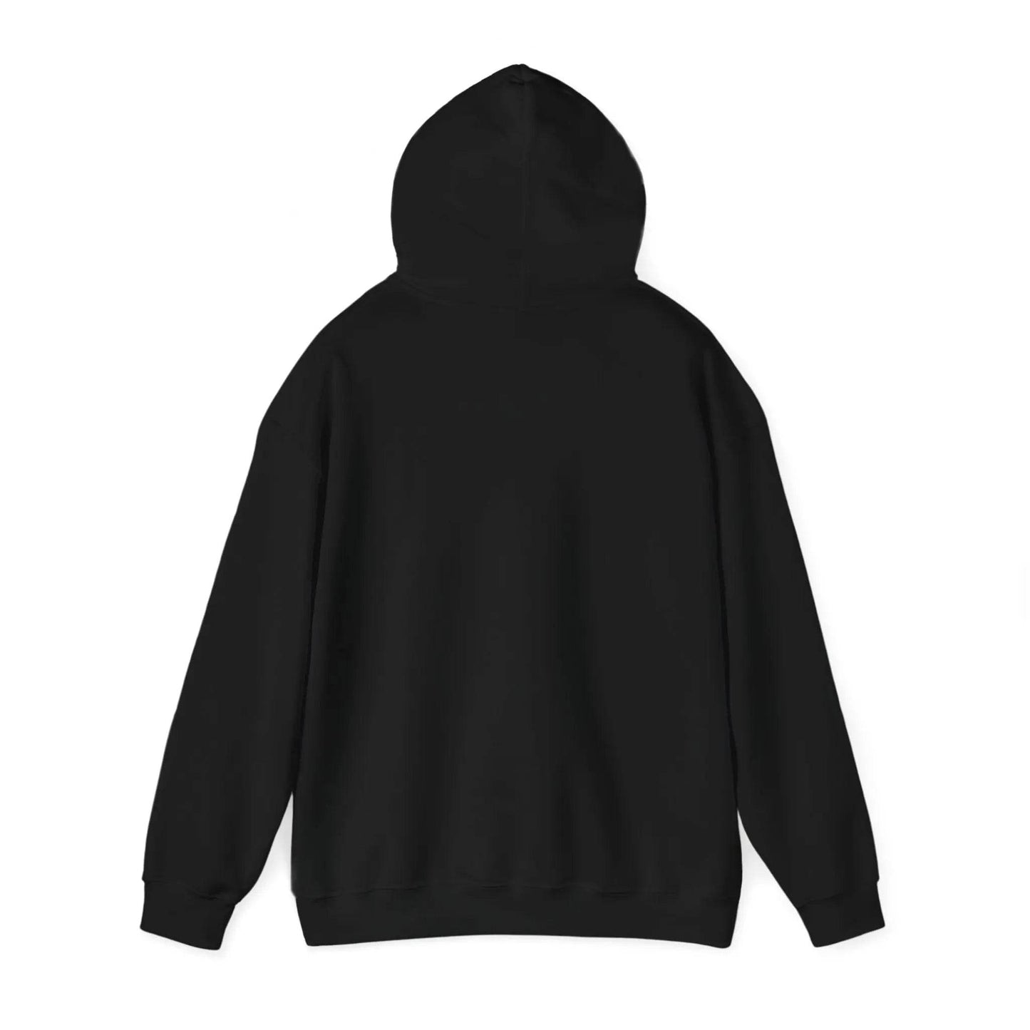 Television Viewer On Air Greeting Hoodie - Nick DiRamio