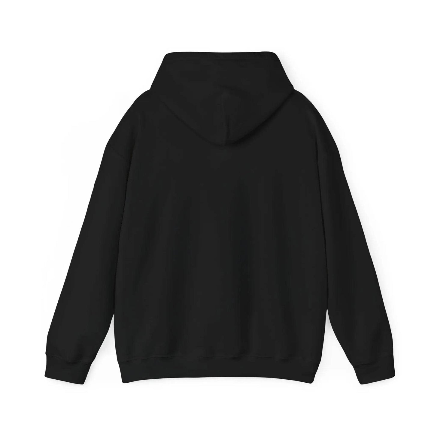 Television Viewer On Air Greeting Hoodie - Nick DiRamio