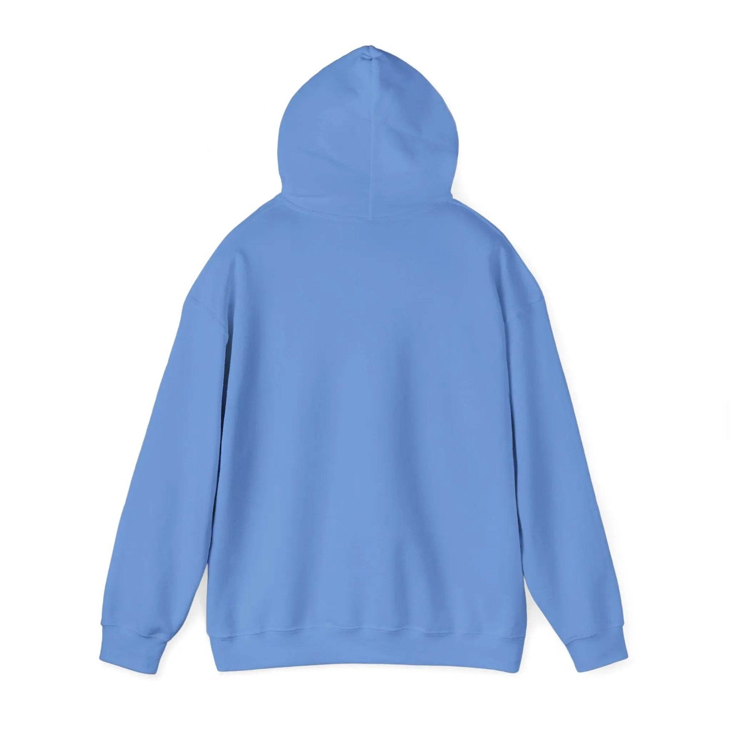 Television Viewer On Air Greeting Hoodie - Nick DiRamio