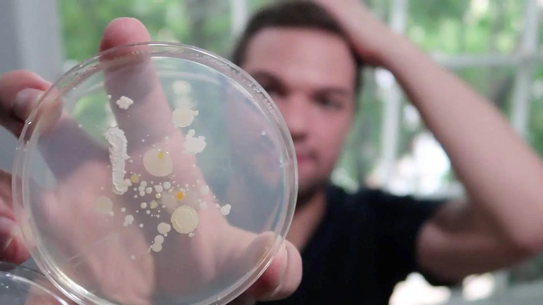 Testing My Skincare Products for BACTERIA! (Gross) - Nick DiRamio