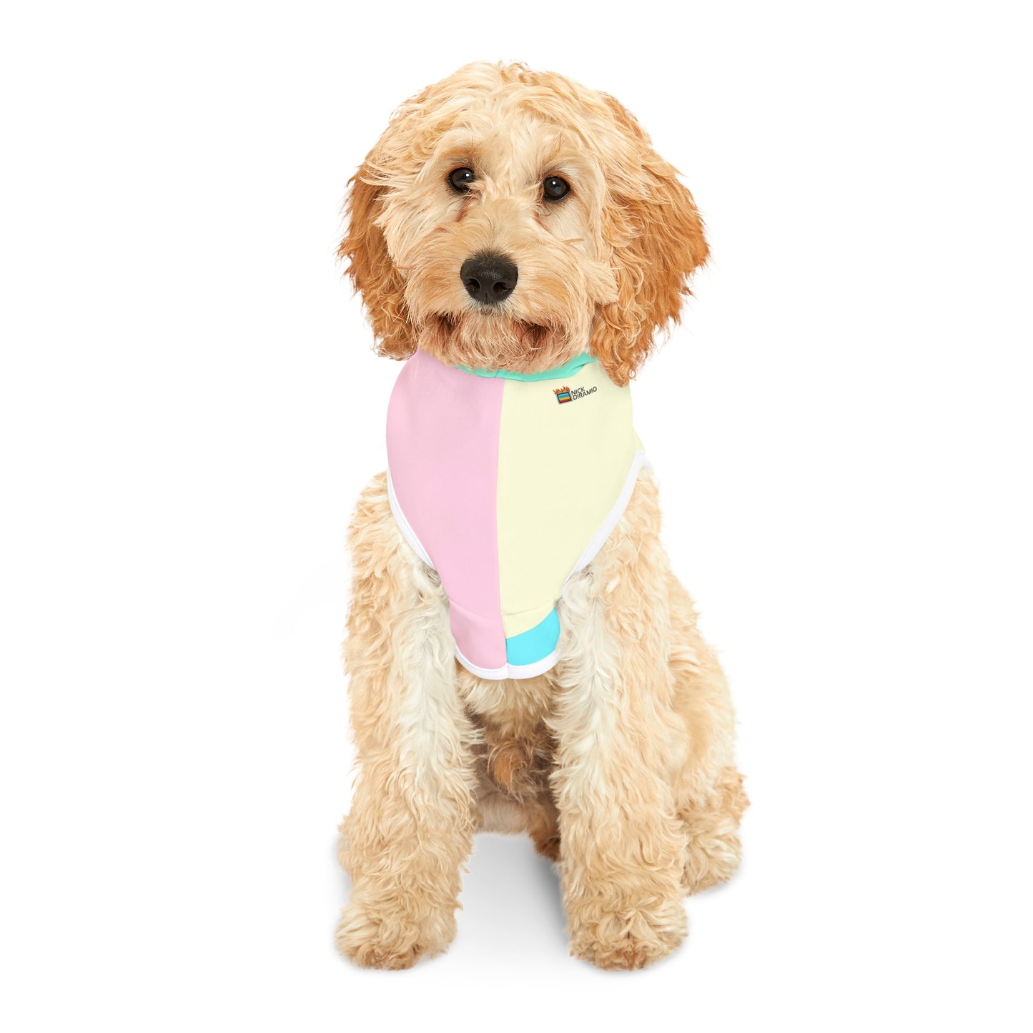 "Toast the Pomeranian" Colorblock Pet Hoodie