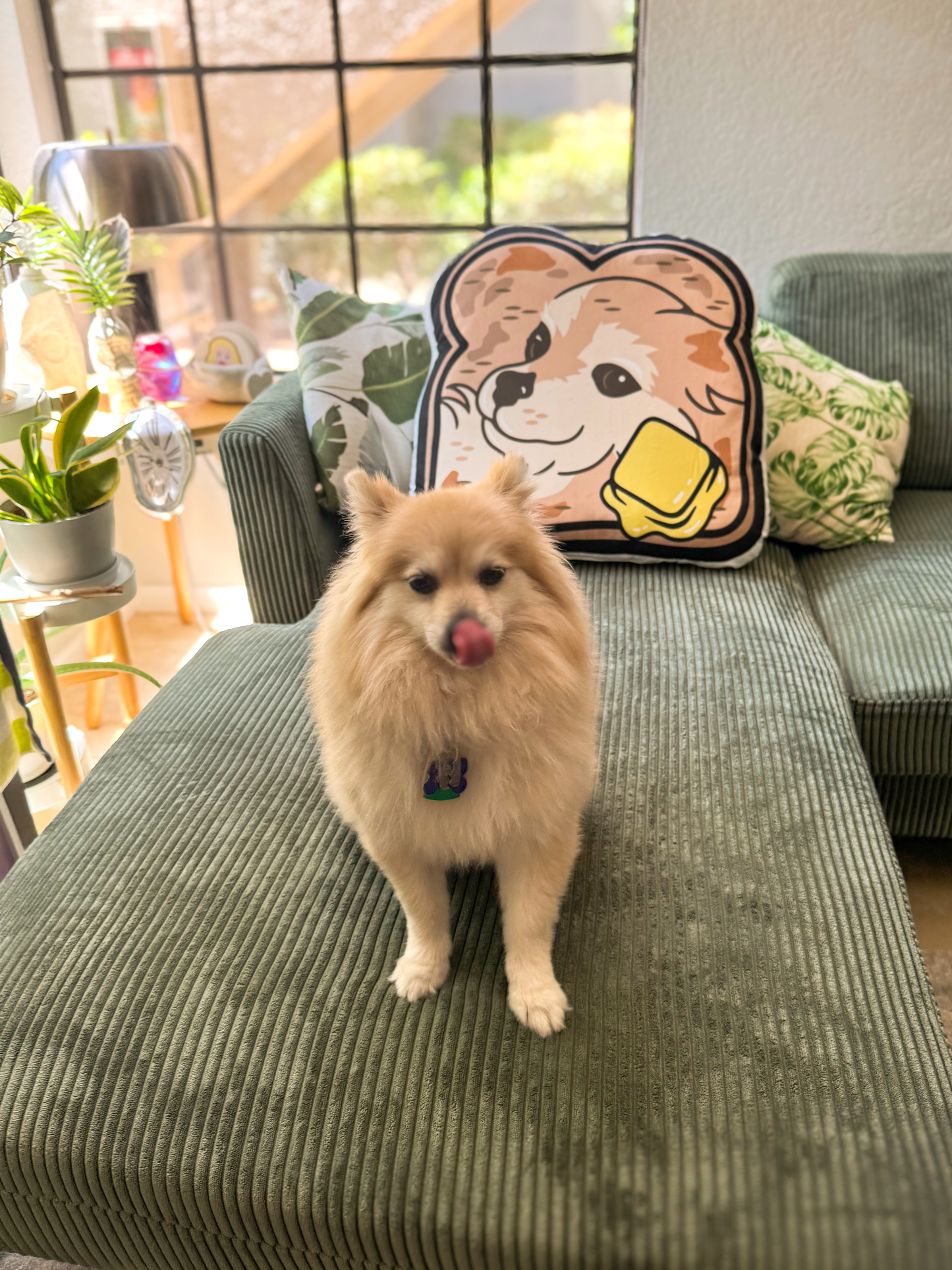 "Toast the Pomeranian" Toast Shaped Pillow