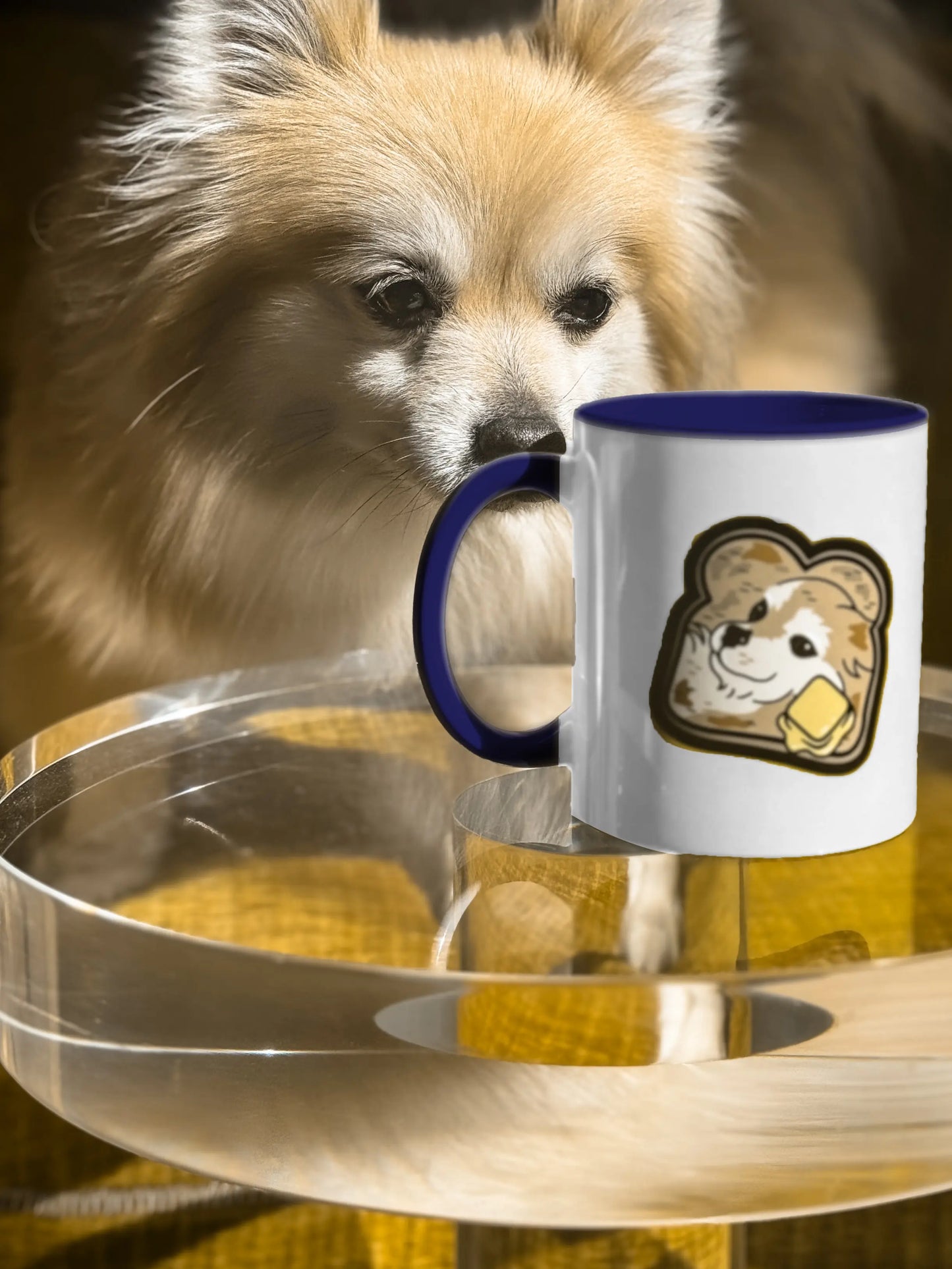 "Toast the Pomeranian" Accent Coffee Mug, 11oz